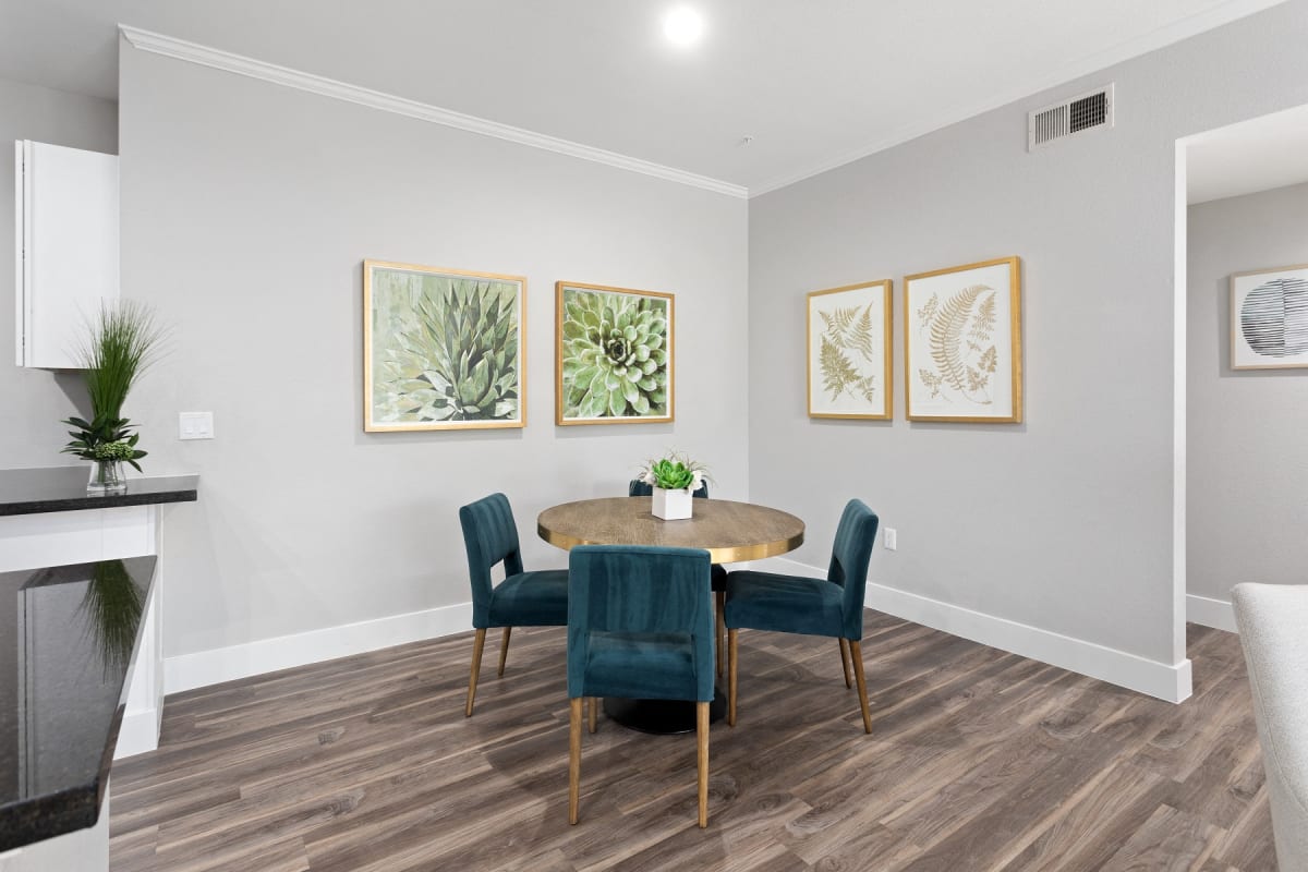 Kota North Scottsdale Photo Gallery Apartments in Scottsdale, AZ